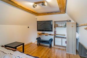 a living room with a tv and a blue chair at Chata Malenovice in Malenovice