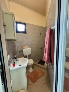 ein kleines Badezimmer mit Waschbecken und Toilette in der Unterkunft Sea View Madeira Machico 1 Bedrooms Terrace Villa in Ribeira Seca