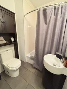 a bathroom with a toilet and a sink and a shower at Urban Loft, St-Joseph St in Quebec City