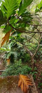 Κήπος έξω από το Kritarth