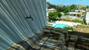 a bird perched on the side of a building with a swimming pool at Dimora Zenieri – Terrazze & Piscina in Casarano +86 photos