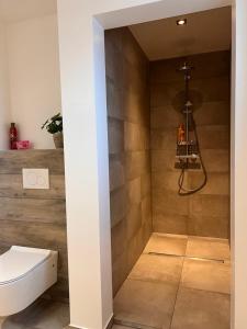 a bathroom with a toilet and a shower at La Bouverie in Profondeville +24 photos