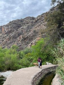 Naturlandskabet i nærheden af lejligheden + 3 billeder