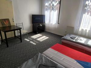 a room with a bed and a tv and a desk at Apartmán Hanka in Pardubice