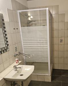a bathroom with a shower and a sink and a shower at Gemütliche Ferienwohnung nähe Wutachschlucht in Hüfingen +4 photos