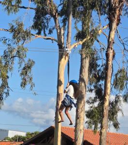 a boy climbing up a tree at Hotel Casa Grande Gravatá in Gravatá