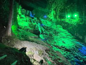 Příroda nedaleko kempu