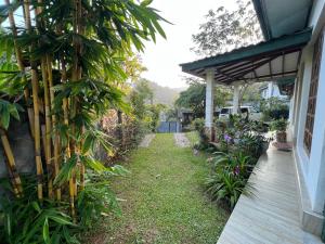 Κήπος έξω από το Serenique Greens +3 φωτογραφίες