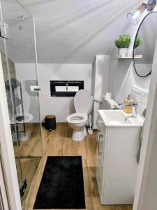 a white bathroom with a toilet and a sink at Casa Runcu Dambovita in Bădeni