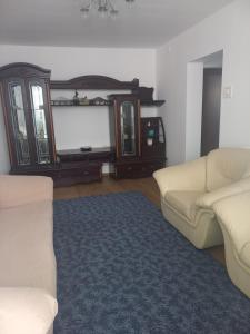 クラヨーヴァにあるPatrick Homeのソファ2脚と薄型テレビのあるリビングルーム