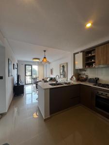 eine Küche mit Spüle und Arbeitsplatte in der Unterkunft PLAYA - Alojamiento frente al mar in Puerto Madryn