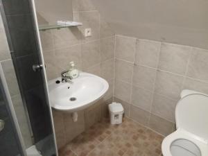 a bathroom with a sink and a toilet at Penzion Rapšach in Rapšach +19 photos