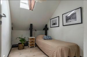 Un dormitorio con una cama y una planta en maceta. en Visbylägenheter, en Visby