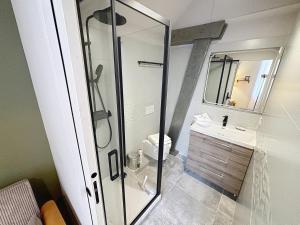 a bathroom with a shower and a toilet and a sink at Le Trinity tout confort avec parking privé au centre ville in Vendôme