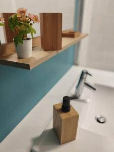 un comptoir de salle de bain avec une étagère en bois et une plante dans l'établissement Cote Sable Ambiance bord de mer dans le centre, à Juan-les-Pins