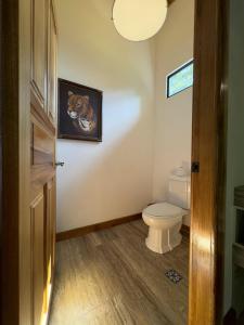 a bathroom with a toilet and a picture of a cat on the wall at Jungle Bungalow at Oropel Lodge in Puerto Viejo