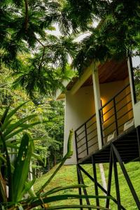 a green parrot standing on the side of a house at Jungle Bungalow at Oropel Lodge in Puerto Viejo