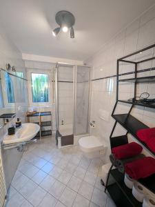 a bathroom with a toilet and a sink and a shower at Ferienwohnung Hirsch in Sinzheim +21 photos