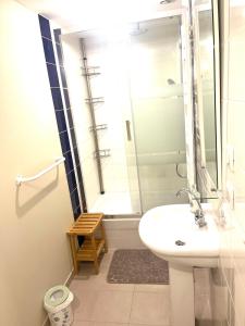 a bathroom with a sink and a shower at cosy studio dans une maison d'hôte in Bourg-en-Bresse +12 photos