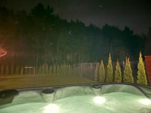 a view from a car window of a park at night at Domek przy lesie SPA in Niesulice