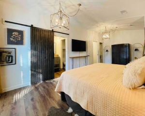 Un dormitorio con una cama y un televisor de pantalla plana. en Art Deco Gem-King Suite-Hot Tub-Outdoor Fire Place, en Round Rock