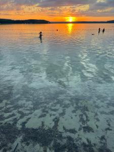 a group of people in the water at sunset at Domek przy lesie SPA in Niesulice