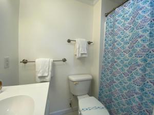 une salle de bain avec toilettes et rideau de douche dans l'établissement Dreamcatcher, à Edisto Island 47 autres photos