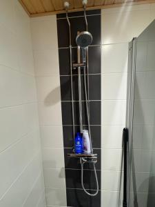 a shower with a shower head in a bathroom at Lapland Apartments with sauna and free WiFi and parking in Rovaniemi +7 photos