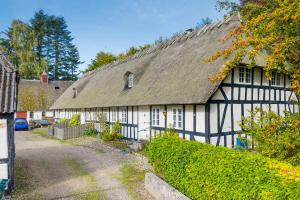 a black and white building with a thatched roof at Annexgården 9A in Tommerup