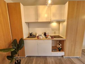 - une petite cuisine avec des placards blancs dans une pièce dans l'établissement Relaxing Studio with a private terrace, à Luxembourg