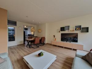 TV a/nebo společenská místnost v ubytování Kintsugi