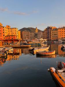 a group of boats in a harbor with buildings at La Casa di Biancaneve in Recco