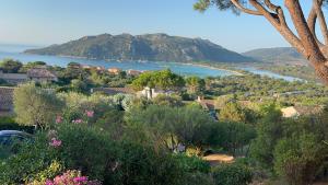 ポルト・ヴェッキオにあるLes Mini-Villas de Santa Giuliaの湖と山の町並み