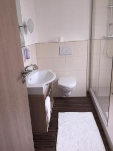 a bathroom with a sink and a toilet at Hotel Concordia in Euskirchen