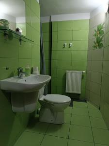 a green bathroom with a sink and a toilet at Jopi Hostel Katowice Centrum in Katowice