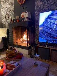 a living room with a fireplace and a television at Boreal Cottage in Karungi