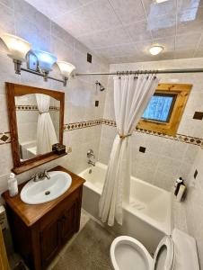 贝菲尔德Hauser's Bayfield Cabin的带水槽、马桶和镜子的浴室