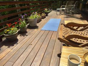 贝菲尔德Hauser's Bayfield Cabin的甲板上放着一堆盆栽植物