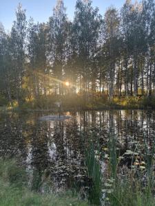 een vijver met de zon die door de bomen schijnt bij Cozy apartment in Åmål