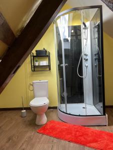 a bathroom with a shower with a toilet and a red rug at Le Grenier Chic - T3 duplex - Parking privatif in Saint-Omer +9 photos