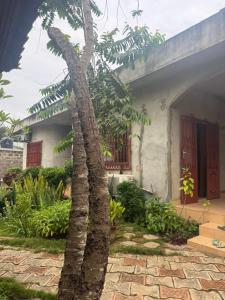 Taman di luar Villa Dia Fankoué