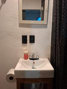 a bathroom with a white sink and a mirror at DGM Lofts GPE 3 Parque Fundidora in Monterrey