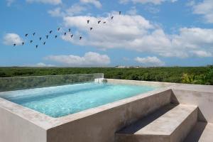 图卢姆6BR Villa at Premium Location 24 h Security的一座大型游泳池,那里有飞天的鸟儿