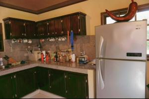 a kitchen with a white refrigerator and green cabinets at Hostal Familiar Casa de Quincha in Las Tablas