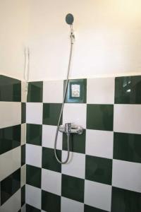 een douche in een badkamer met een groen-wit geblokte vloer bij Dar janna in Essaouira