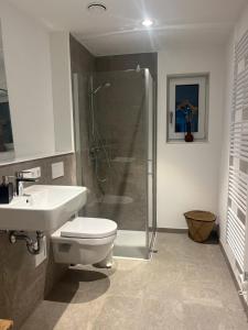 a bathroom with a shower and a toilet and a sink at Feigental in Überlingen