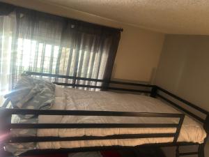 Fotografie z fotogalerie ubytování cozy hostel for individuals v destinaci Phoenix + 37 fotografií