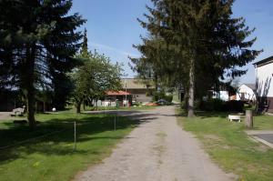 DreetzにあるZum Pferdestallの庭に木が生えている未舗装の道路