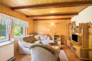 a living room with a couch and a tv at Ferienhaus Lausekuppe Neustadt in Neustadt/Harz