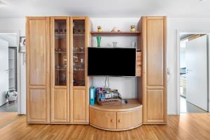 a living room with a tv and wooden cabinets at Ferienwohnung Hochtal in Bernau im Schwarzwald